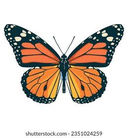 images (2)
